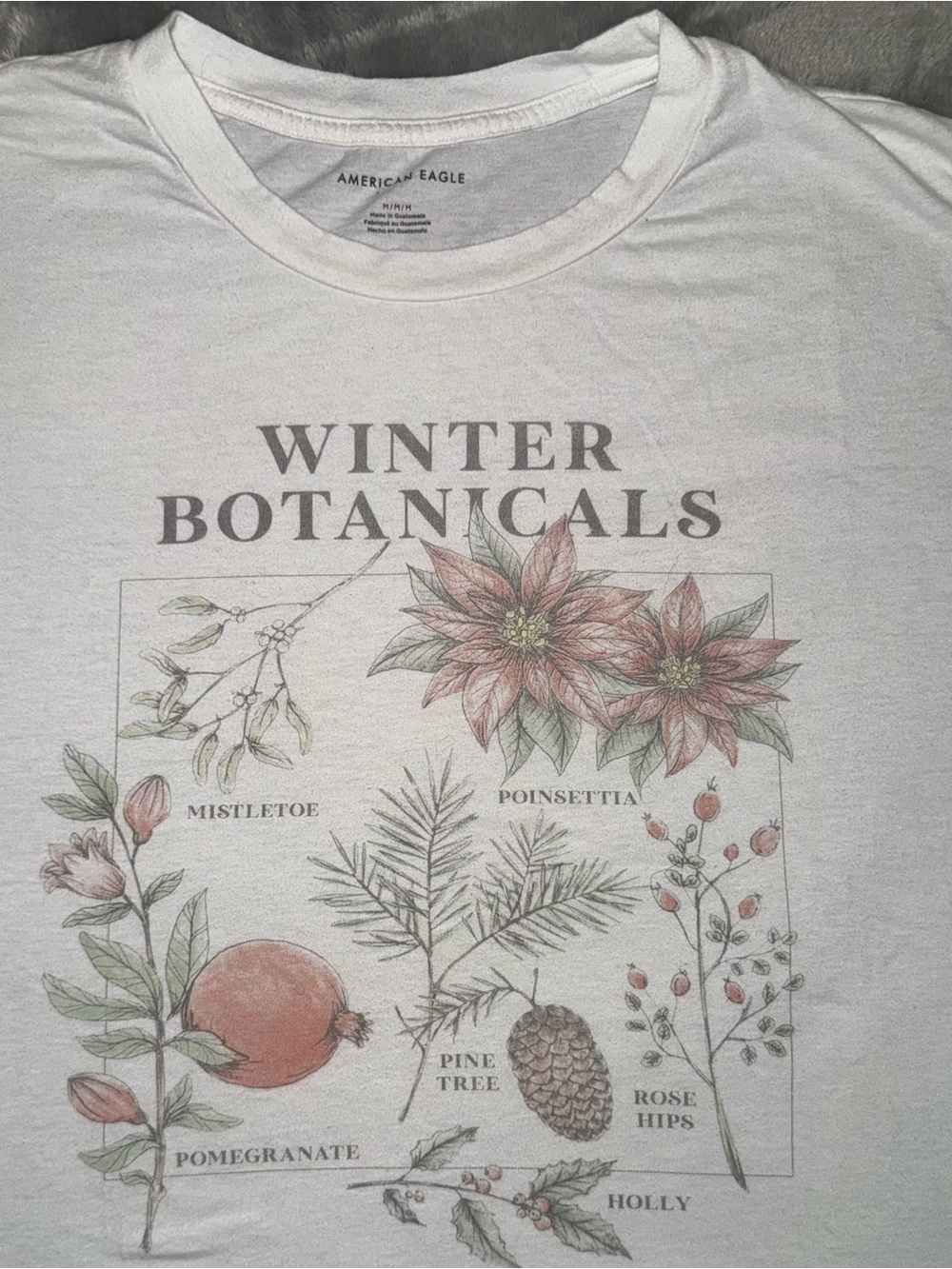 American Eagle Outfitters White Graphic Tee
